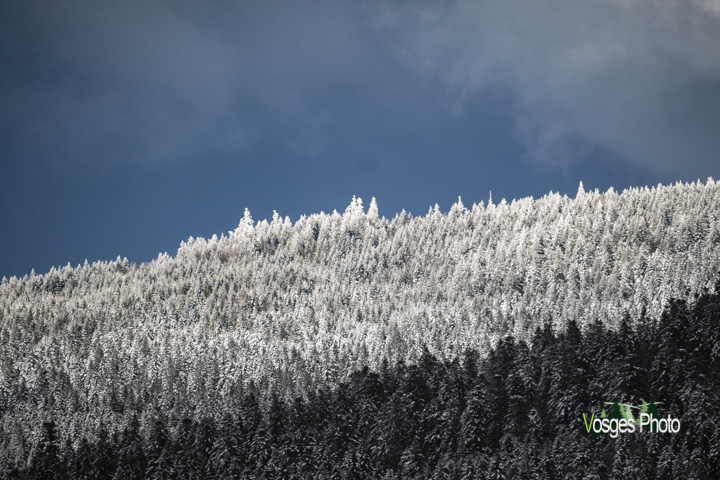 Photographie des Vosges Crête de la Beheuille